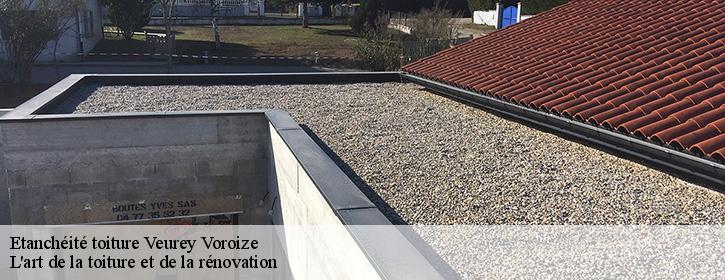 Etanchéité toiture  38113