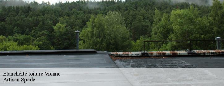 Etanchéité toiture 38200