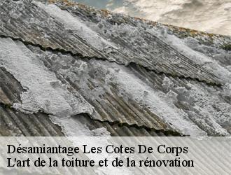 Désamiantage  les-cotes-de-corps-38970 L'art de la toiture et de la rénovation