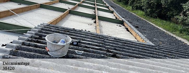 Désamiantage 38420
