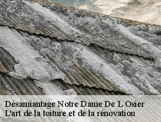 Désamiantage  notre-dame-de-l-osier-38470 L'art de la toiture et de la rénovation