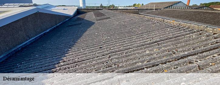 Désamiantage  38410