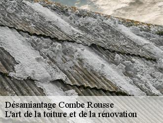 Désamiantage  combe-rousse-38790 L'art de la toiture et de la rénovation