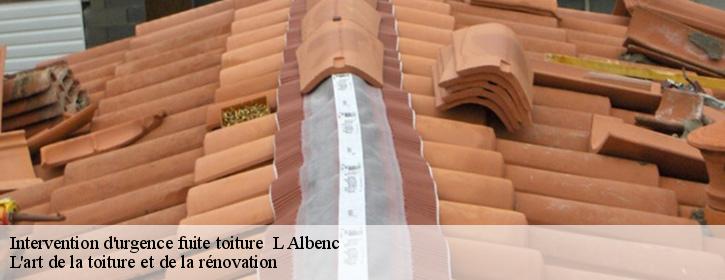 Intervention d'urgence fuite toiture   38470