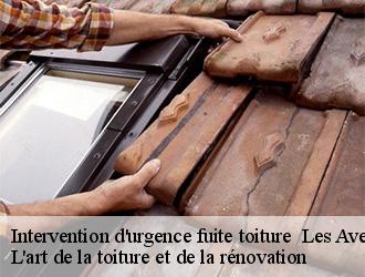Intervention d'urgence fuite toiture les-avenieres-38630 L'art de la toiture et de la rénovation