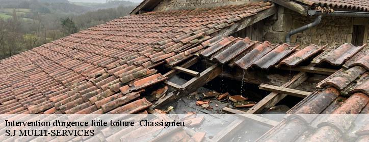 Intervention d'urgence fuite toiture   38730