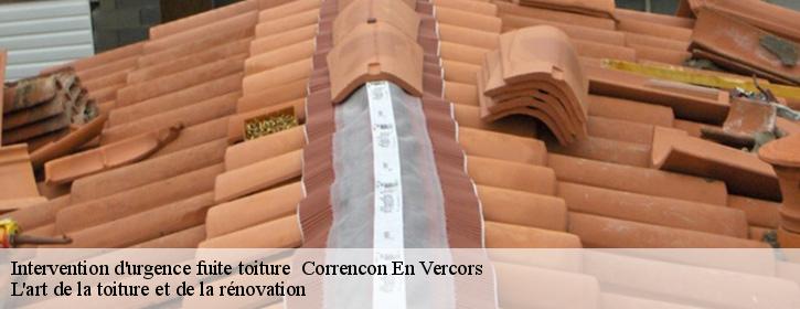 Intervention d'urgence fuite toiture   38250