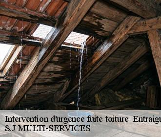 Intervention d'urgence fuite toiture   entraigues-38740 S.J MULTI-SERVICES