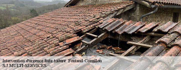 Intervention d'urgence fuite toiture 38120