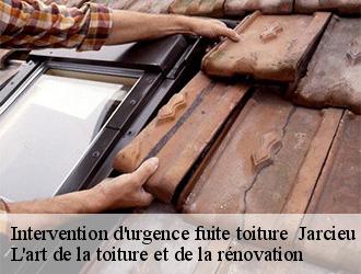 Intervention d'urgence fuite toiture   jarcieu-38270 L'art de la toiture et de la rénovation