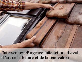 Intervention d'urgence fuite toiture   laval-38190 L'art de la toiture et de la rénovation