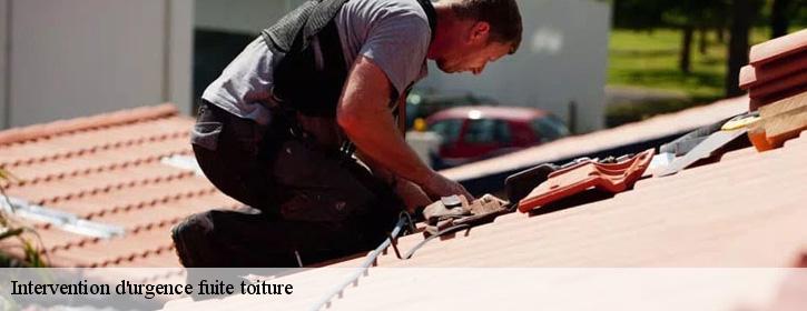 Intervention d'urgence fuite toiture   38120