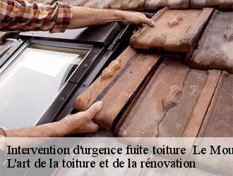 Intervention d'urgence fuite toiture le-moutaret-38580 L'art de la toiture et de la rénovation