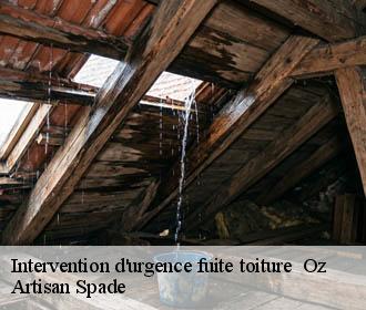 Intervention d'urgence fuite toiture   oz-38114 Artisan Spade