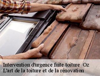Intervention d'urgence fuite toiture   oz-38114 L'art de la toiture et de la rénovation