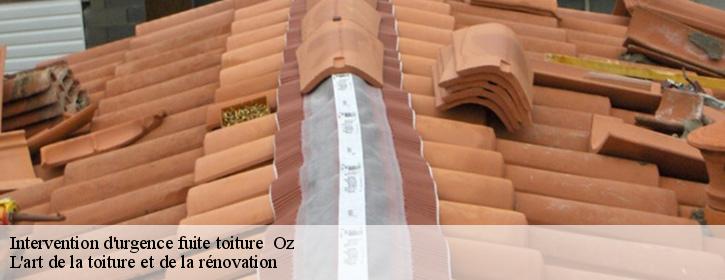 Intervention d'urgence fuite toiture   38114