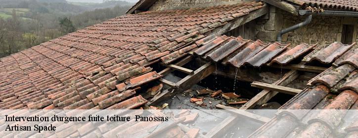 Intervention d'urgence fuite toiture 38460