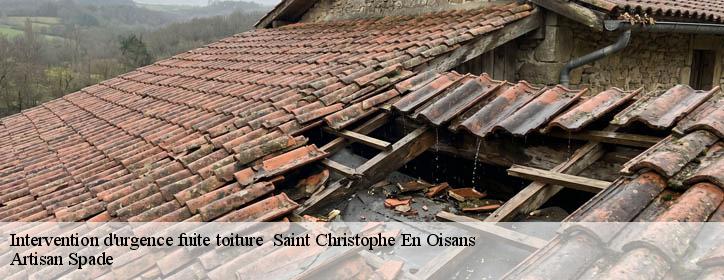 Intervention d'urgence fuite toiture 38520