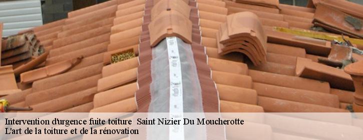 Intervention d'urgence fuite toiture   38250