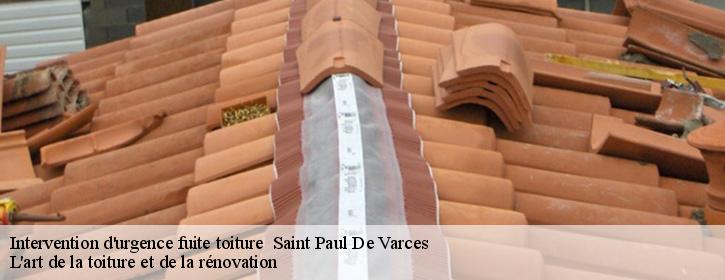 Intervention d'urgence fuite toiture 38760