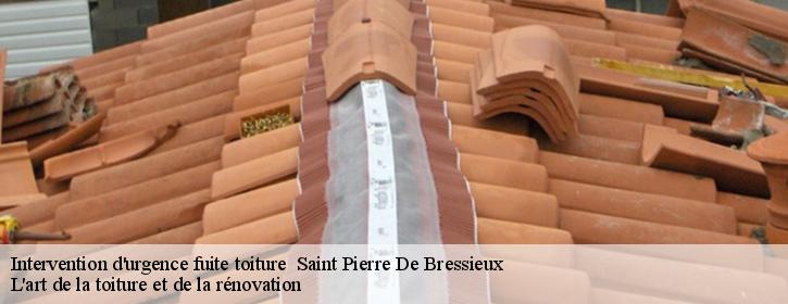 Intervention d'urgence fuite toiture   38870