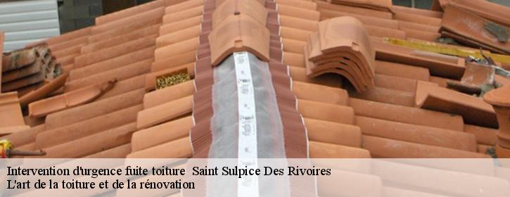 Intervention d'urgence fuite toiture   38620