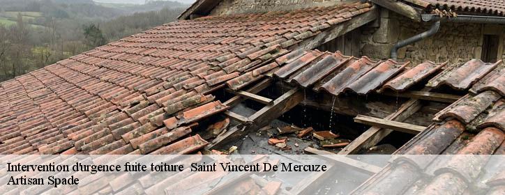 Intervention d'urgence fuite toiture 38660