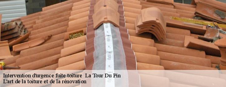 Intervention d'urgence fuite toiture   38110