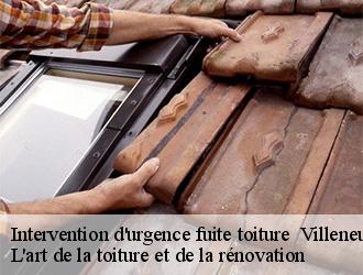 Intervention d'urgence fuite toiture   villeneuve-de-marc-38440 L'art de la toiture et de la rénovation