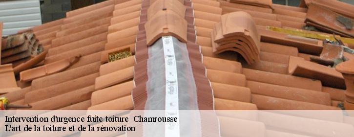 Intervention d'urgence fuite toiture   38410