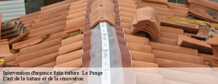 Intervention d'urgence fuite toiture   38780