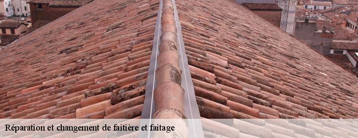 Réparation et changement de faitière et faitage  38490