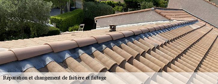 Réparation et changement de faitière et faitage 38640