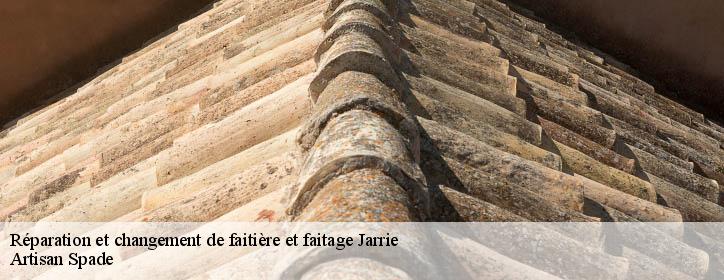 Réparation et changement de faitière et faitage 38560