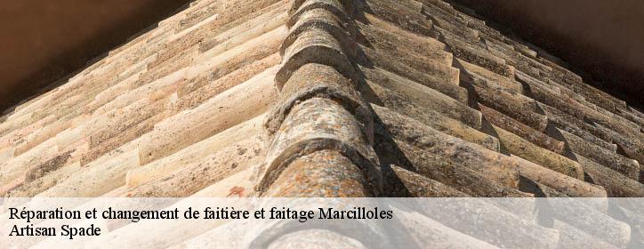 Réparation et changement de faitière et faitage 38260