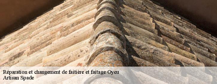 Réparation et changement de faitière et faitage 38690