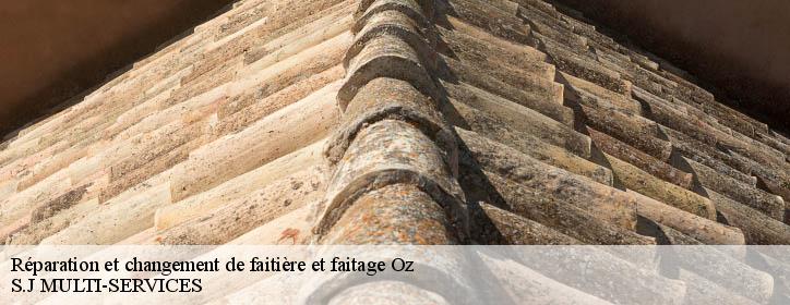 Réparation et changement de faitière et faitage 38114