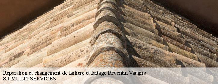 Réparation et changement de faitière et faitage  38121