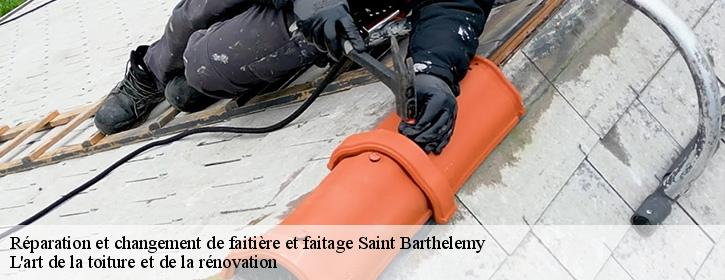 Réparation et changement de faitière et faitage  38270