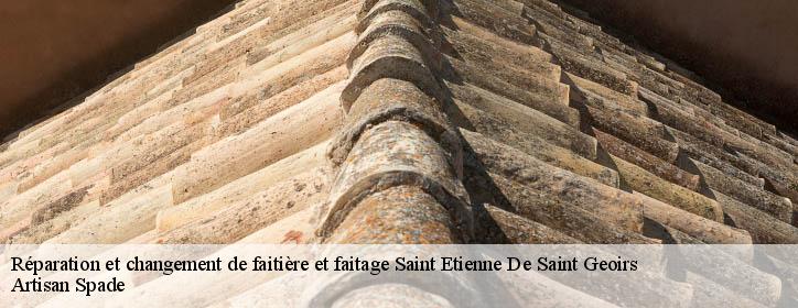 Réparation et changement de faitière et faitage 38590
