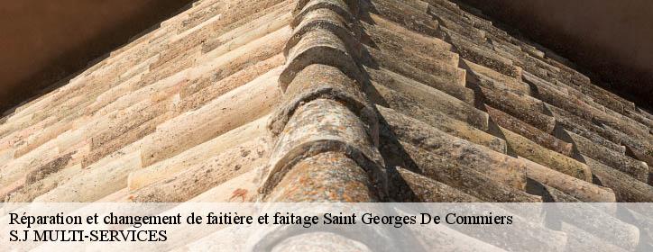 Réparation et changement de faitière et faitage 38450