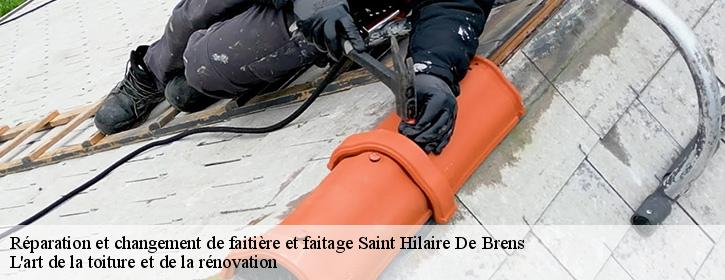 Réparation et changement de faitière et faitage  38460