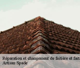 Réparation et changement de faitière et faitage  sainte-marie-du-mont-38660 Artisan Spade