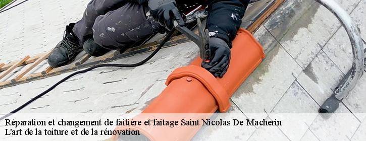 Réparation et changement de faitière et faitage  38500