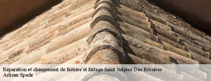 Réparation et changement de faitière et faitage  38620