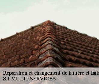 Réparation et changement de faitière et faitage thodure-38260 S.J MULTI-SERVICES