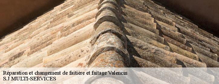 Réparation et changement de faitière et faitage 38540