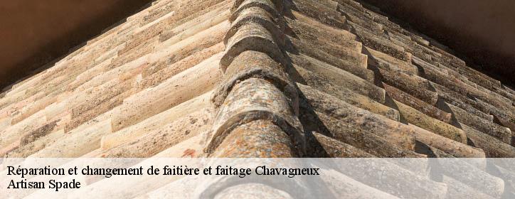 Réparation et changement de faitière et faitage 38230