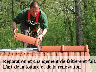 Réparation et changement de faitière et faitage haut-de-bonce-38290 L'art de la toiture et de la rénovation