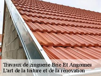 Travaux de zinguerie  brie-et-angonnes-38320 L'art de la toiture et de la rénovation
